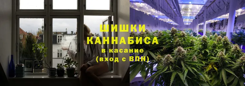 Бошки марихуана Ganja  сколько стоит  Жирновск 